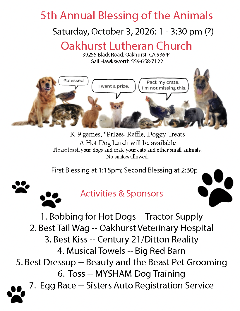 BLESSING OF ANIMALS